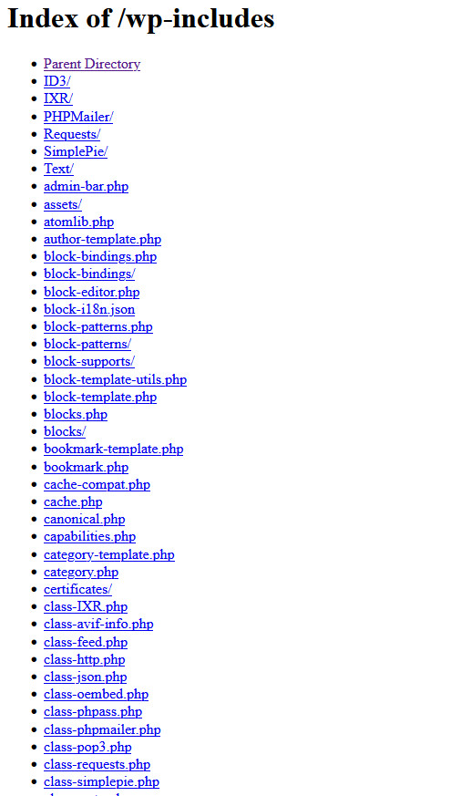 website directory indexing shows files that comprise your website
