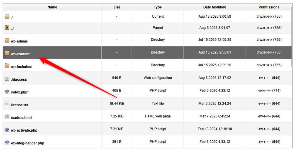 head to the wp-content folder within your website's directory