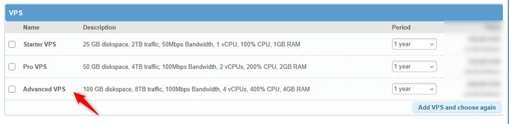 Select a type of VPS hosting you wish to purchase