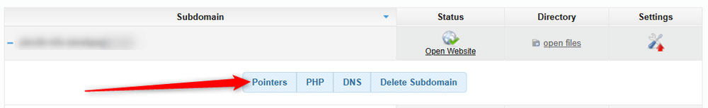 Click the Pointers button, so you open the specific settings for each of your hosted domains