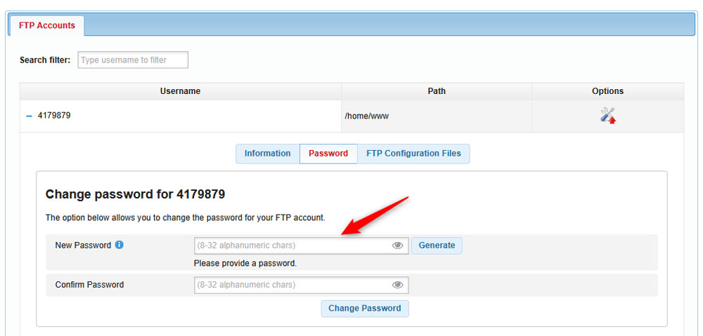 Type in your new FTP account password