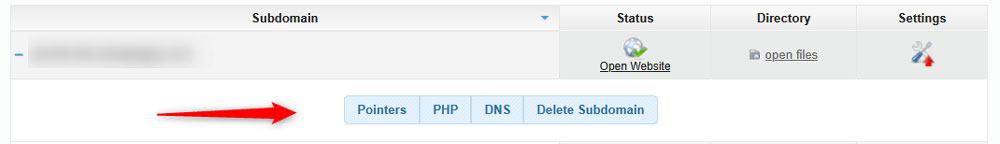 Subdomain options menu 