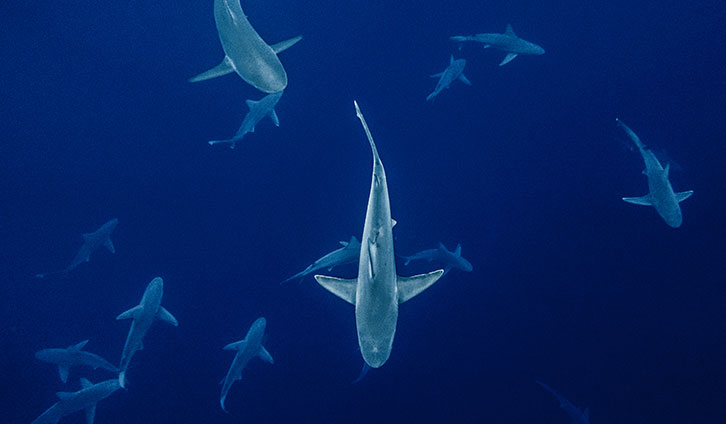 How-to-Build-Your-Brand-Identity