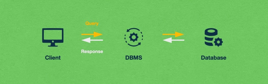 It is normal for the database management system and the database storage to act as a single coherent unit. That is why they are collectively referred to as a database.
