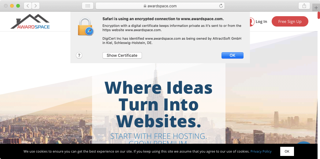 Clicking on the padlock icon in your browser address bar will allow you to view additional details for the SSL certificate that is being used.